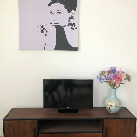 Holiday Malecot 2 - *